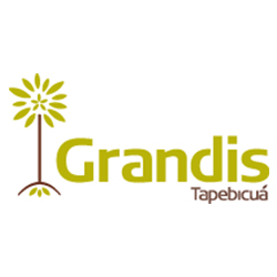 grandis logo